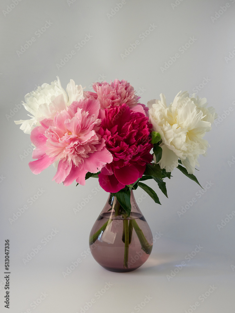 Pink Angel Cheeks peonies in a metal vase. Beautiful peony flower for catalog or online store. Floral shop concept . Beautiful fresh cut bouquet. Flowers delivery Pink Angel Cheeks peonies in a metal vase. Beautiful peony flower for catalog or online store. Floral shop concept . Beautiful fresh cut bouquet. Flowers delivery