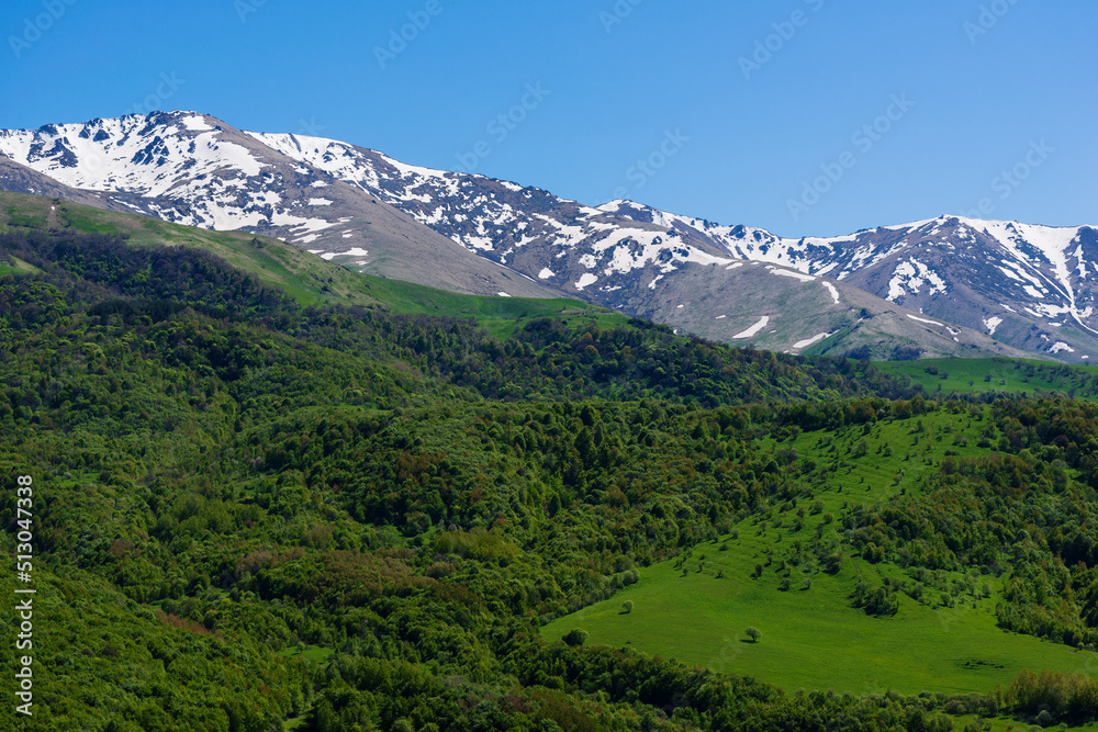 Snowy mountain landscape with alpine forest, Armenia