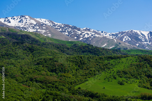 Snowy mountain landscape with alpine forest, Armenia