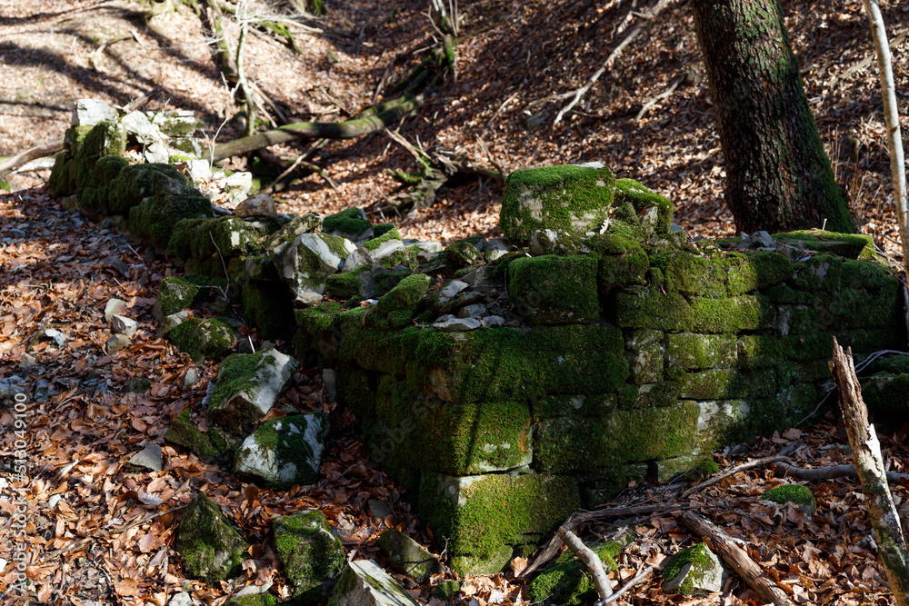 Antique Building Walls from 13th century in Slovenia Rural Countryside of Grgar Antique Building Walls from 13th century in Slovenia Rural Countryside of Grgar