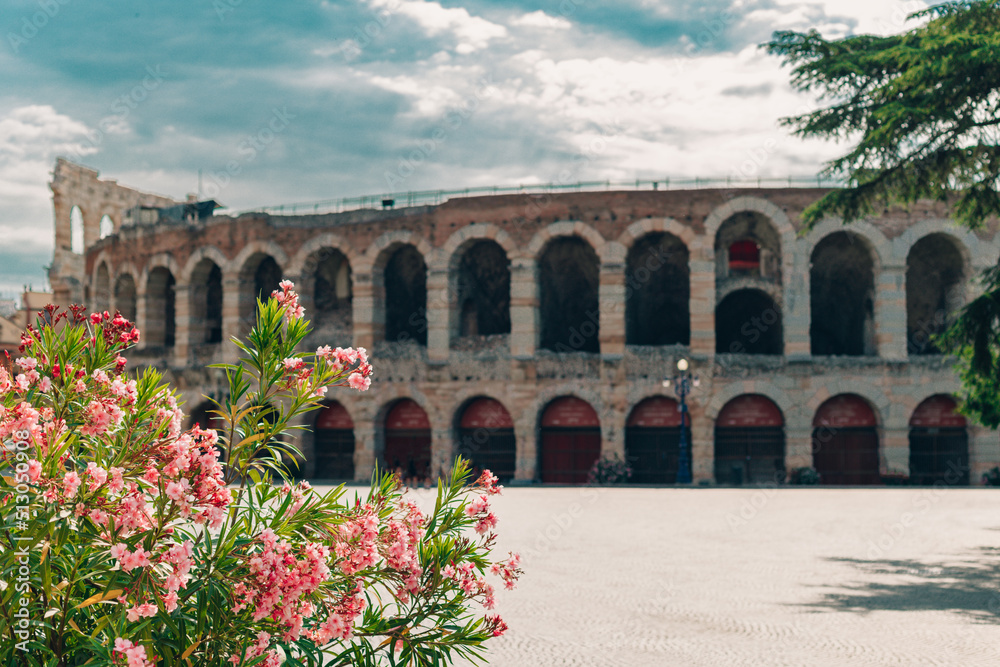 Obraz premium Pink oleander flowers and blurred amazing view of Verona Arena in a blue sky. A Roman amphitheatre in Piazza Bra, Verona, Italy.