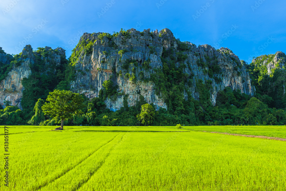 Φωτογραφία Green rice field near the limestone mountain in countryside, travel scenic at No