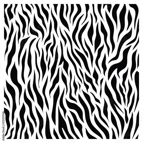 Zebra texture pattern design. Animal fur vector illustration background