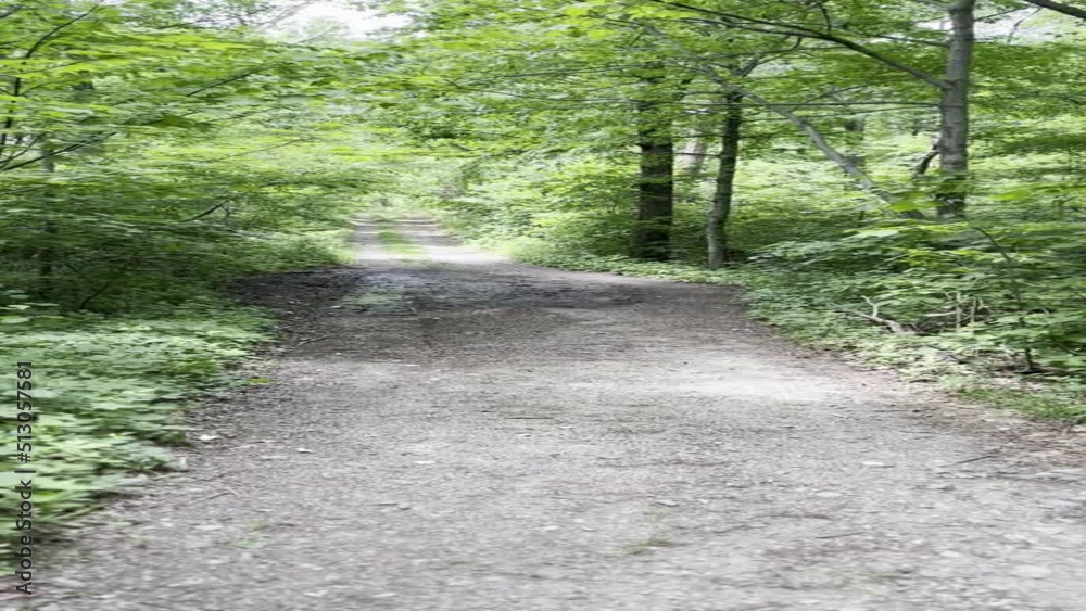 Vertical video of person walking on path outdoors pov in mountains with plants and trees. Background for text overlays and social media. Vertical video of person walking on path outdoors pov in mountains with plants and trees. Background for text overlays and social media.