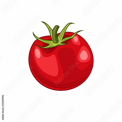 Vector illustration of red realistic tomato isolated on white background