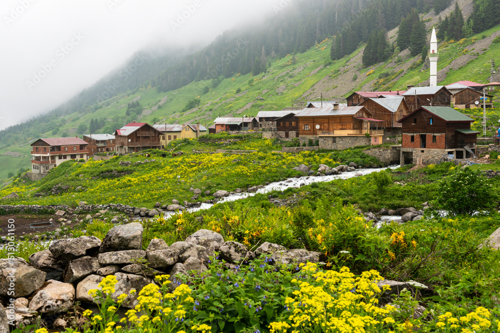 Elevit Plateau in Rize. This plateau located in Camlihemsin district of Rize province. Kackar Mountains region. Rize, Turkey.