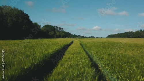 Countryside following Tractor Tracks with a Drone
