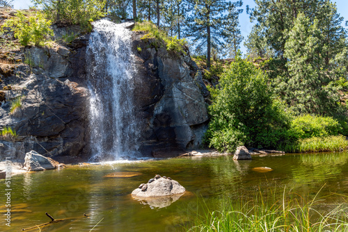Fototapeta Naklejka Na Ścianę i Meble -  Turtles warm in the sun on rock at the Mirabeau Point Park pond and waterfall in Spokane Valley, Washington, USA.