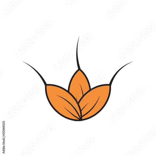 rice or paddy seeds flat design