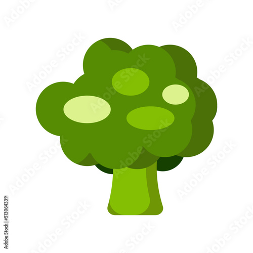 Fresh broccoli isolated on white background. Vegetables