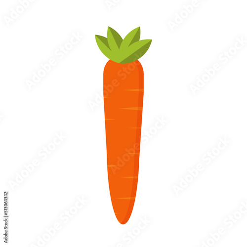 Fresh carrot isolated on white Background. Vegetables