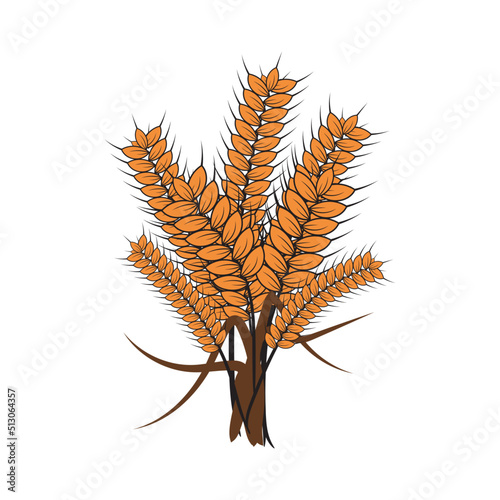 a bunch of ripe rice