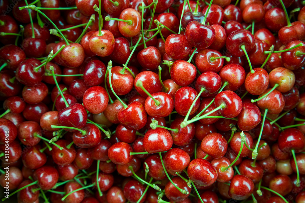 Many reddish ripe cherries. Beautiful berries. Many reddish ripe cherries. Beautiful berries.
