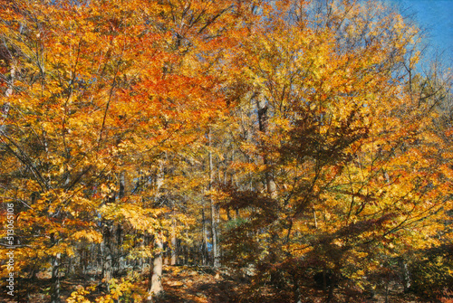 A painted image of autumn trees shining bright in the sunlight.  The image is in the style of impressionism. 