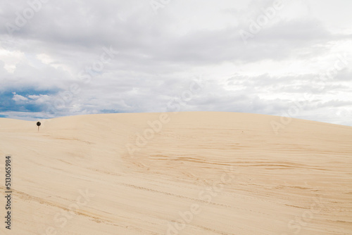 Sand dunes in Jericoacoara Ceará Brazil..Tourist and paradisiacal place with clean and beautiful skies..Vacation concept. Travel concept. Copy space.