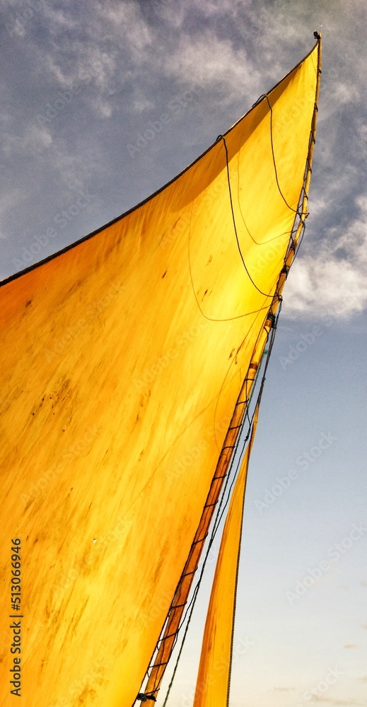 Fototapeta premium boat on the beach