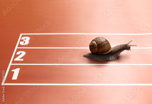 Fun training of snail on stadium track