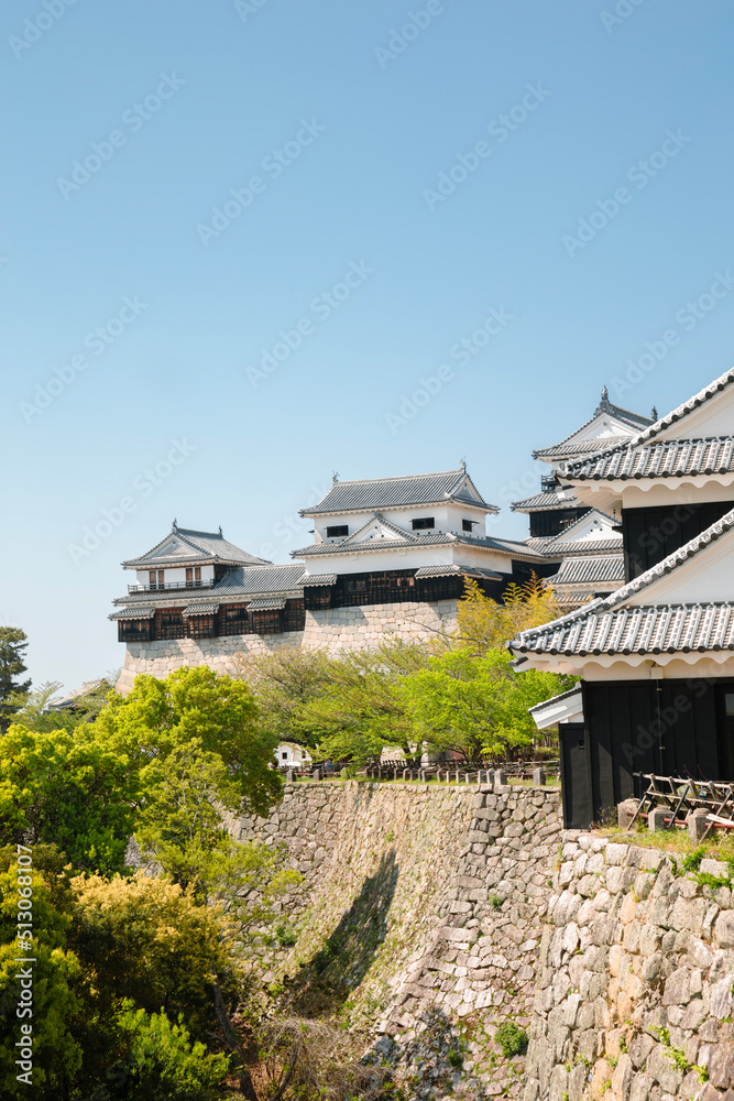 Matsuyama Castle traditional architecture in Japan