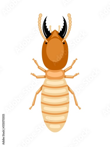 Vector illustration, termites or Isoptera, isolated on white background.