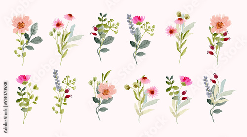 beautiful watercolor floral bouquet collection