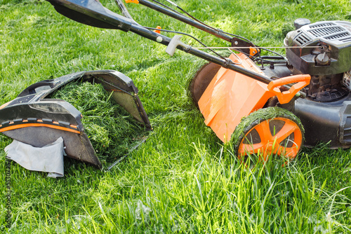 Close up photo of lush, fresh green grass in metal lawn mower in the garden. Organic environmental sustainability and development. Mowing, cutting green lawn, ecological and biological resources