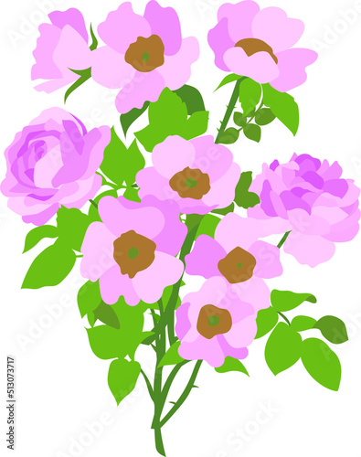 Vector flat illustration of rosehip flowers isolated on a white background. Each branch is on a separate layer. Bouquet of rosehip flowers
