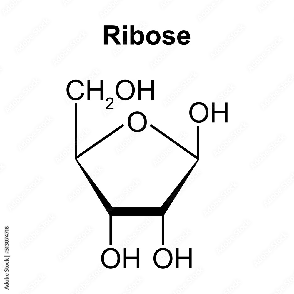 Chemical Structure of Ribose Sugar Molecule. Vector Illustration. Stock