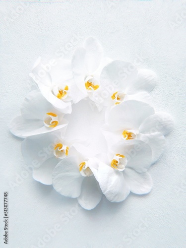 Tableau sur toile A very beautiful white background