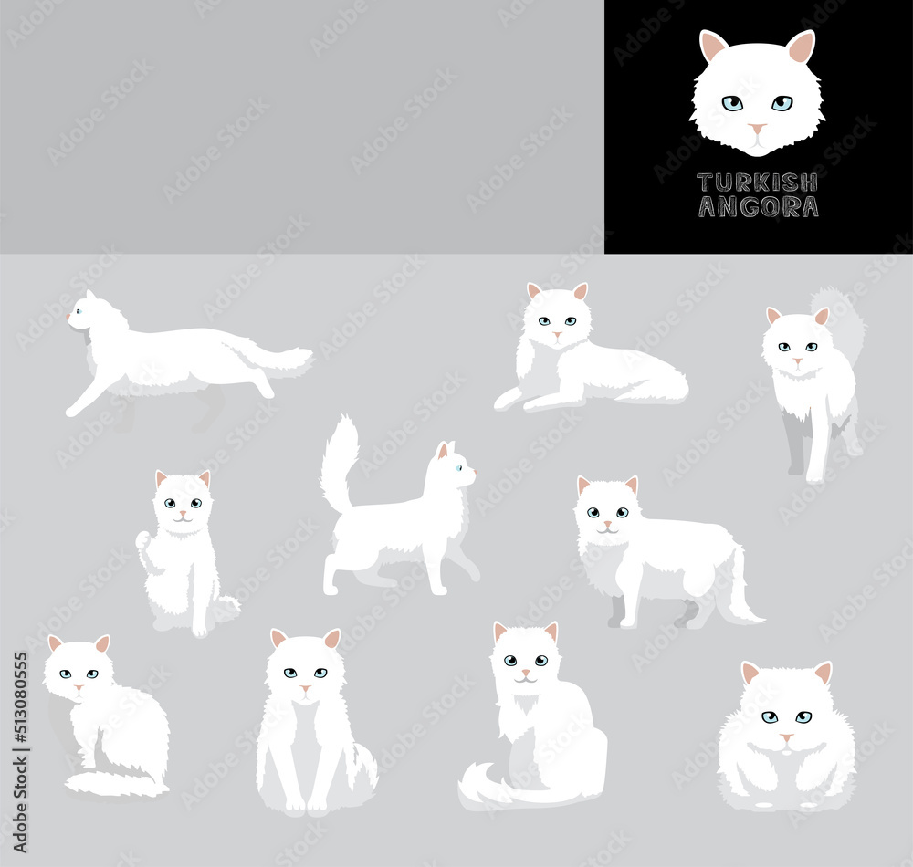 Cat Turkish Angora Cartoon Vector Illustration Color Variation Set