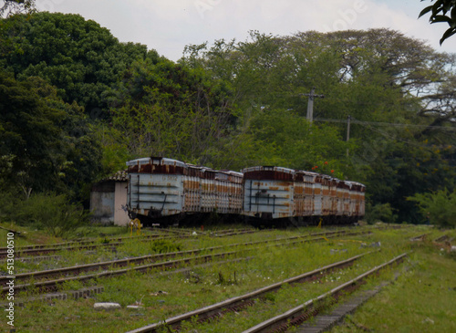 Abandoned sugarcane train cars