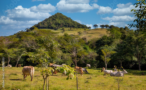 View of a hill in the Ybytyruzu Mountains in Paraguay that looks like an overgrown pyramid. photo