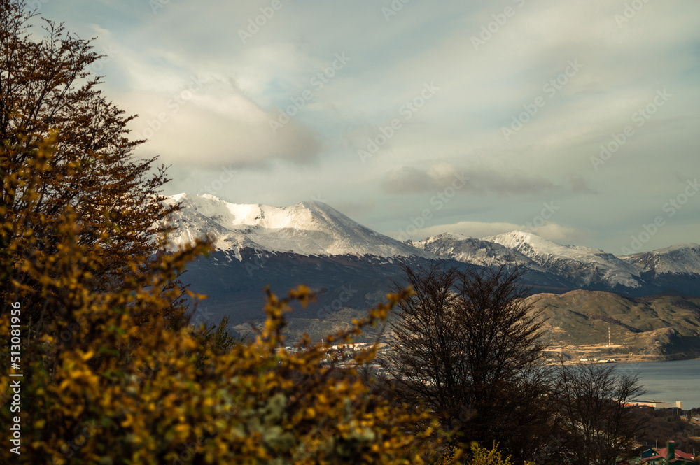 Beagle Channel seen from a forest path with native vegetation in autumn and its snowy mountains in the background. Ushuaia, Argentina