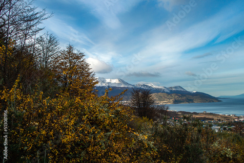 Beagle Channel seen from a forest path with native vegetation in autumn and its snowy mountains in the background. Ushuaia, Argentina
