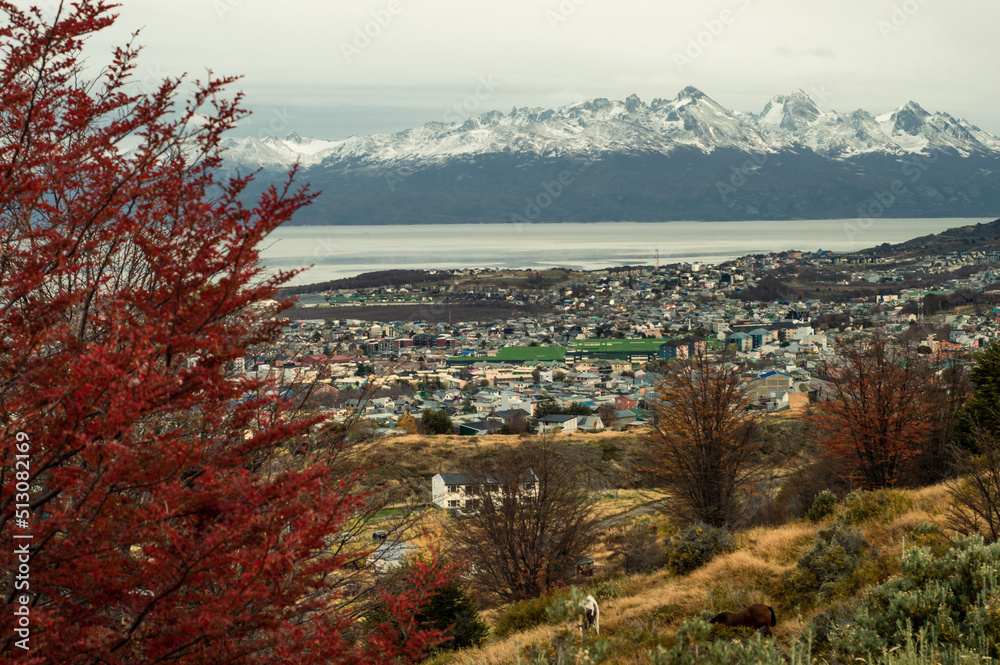 Beagle Channel with the buildings of Ushuaia and its snowy mountains in the background. Tierra del Fuego, Argentina