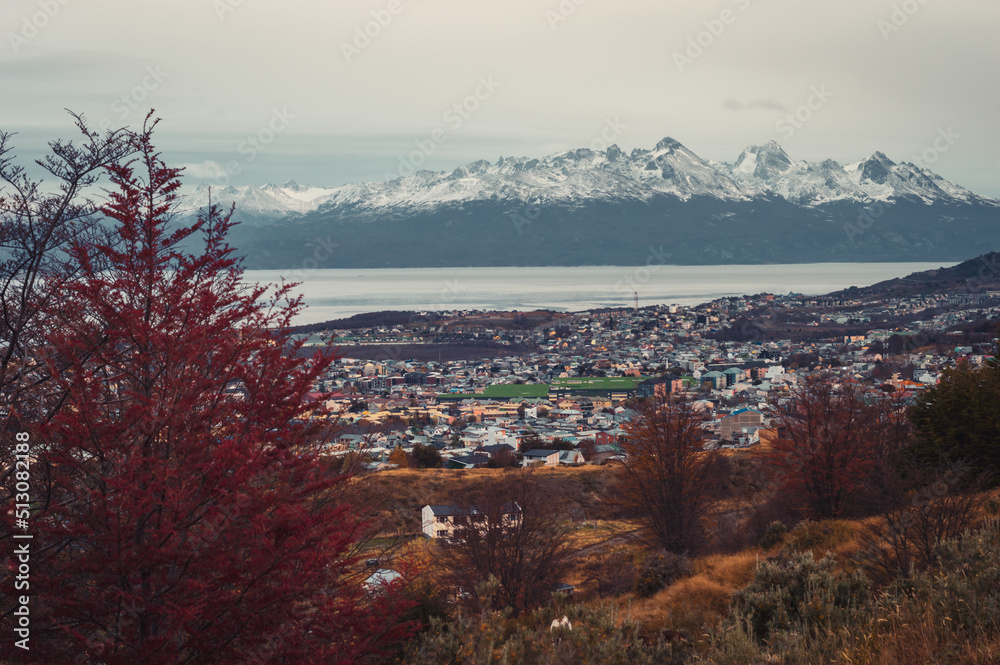 Beagle Channel seen from a forest with native red trees in autumn and its snowy mountains in the background. Ushuaia, Argentina