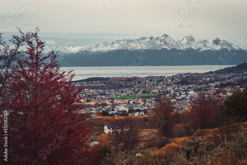 Obraz na płótnie Beagle Channel seen from a forest with native red trees in autumn and its snowy mountains in the background. Ushuaia, Argentina w salonie