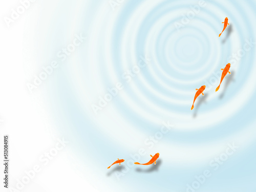 真上から見た泳ぐ金魚と水紋