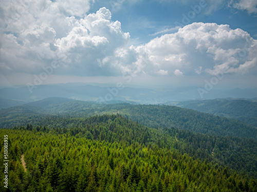 Fototapeta Naklejka Na Ścianę i Meble -  Beskid Sądecki w okolicy Radziejowej