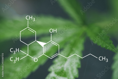 A beautiful sheet of cannabis marijuana in the defocus with image of the formula CBN