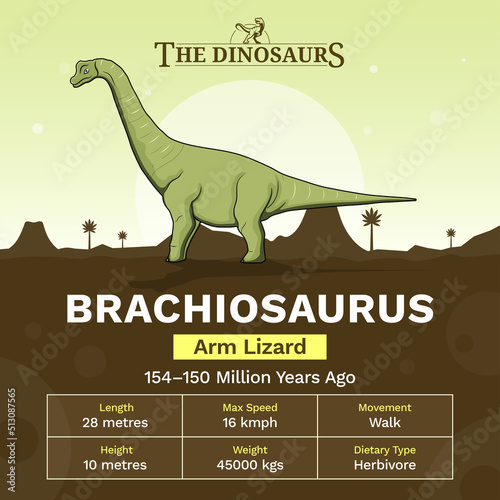 Description and Physical Characteristics of Brachiosaurus - Vector Illustration