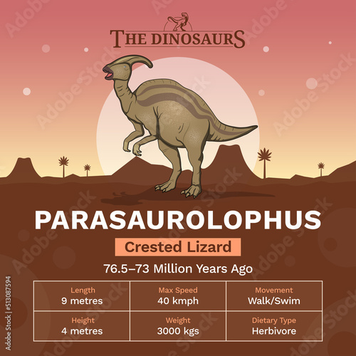 Description and Physical Characteristics of Parasaurolophus - Vector Illustration