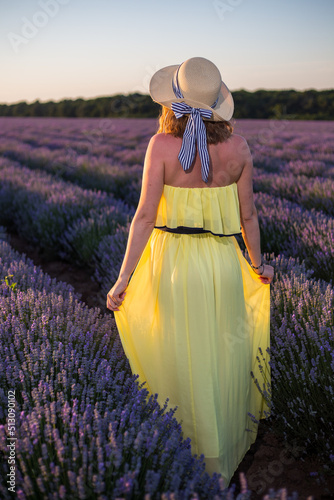 woman in lavender field photo