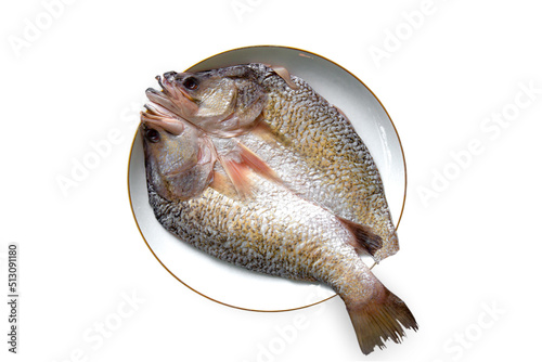 Plate, Snapper Fish, Acid, American Culture, Animal Body Part photo