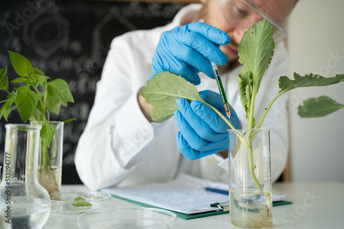 Male microbiologist looking at a healthy green plant in a sample flask. Medical scientist working in a food science laboratory, sample plant growing in test tube, biotechnology research