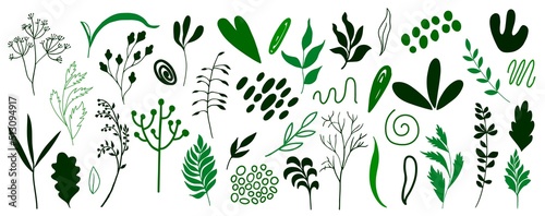 Organic shapes, plants, spots, lines, dots. Vector set of minimal trendy abstract hand drawn isolated elements for graphic design