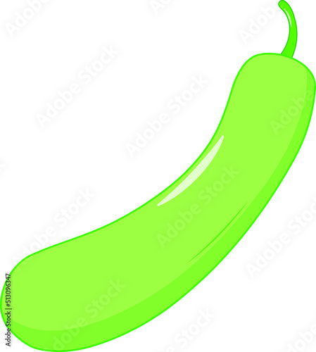 Fresh Isolated Bottle Gourd Vector Illustration
