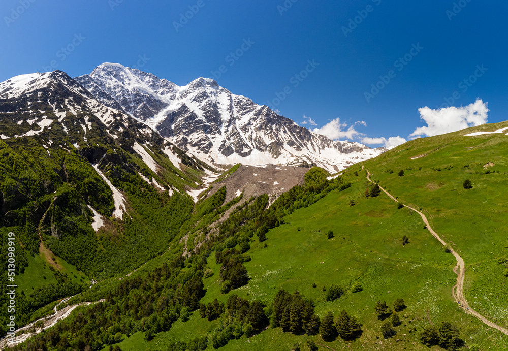 Alpine meadow landscape in summer. Rhododendron flowers in mountains. Elbrus mountain region. Spring flowers blossoms in the mountains.  Alpine climbing and hiking. Sunrise in the mountains.