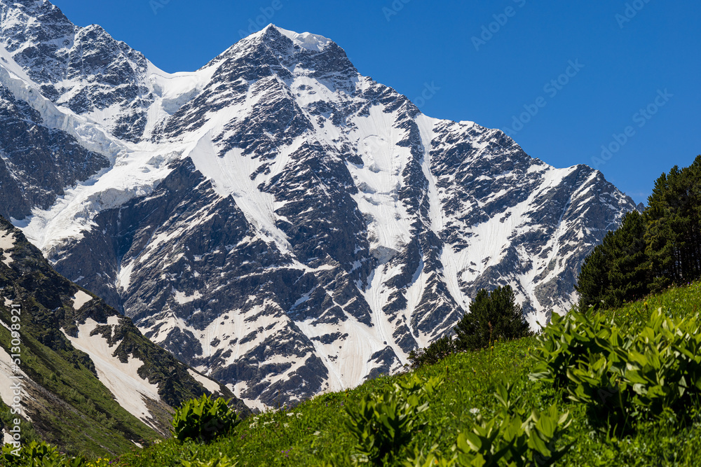 Alpine meadow landscape in summer. Rhododendron flowers in mountains. Elbrus mountain region. Spring flowers blossoms in the mountains.  Alpine climbing and hiking. Sunrise in the mountains.