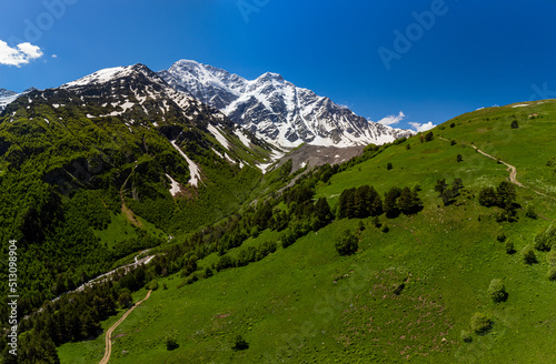 Alpine meadow landscape in summer. Rhododendron flowers in mountains. Elbrus mountain region. Spring flowers blossoms in the mountains. Alpine climbing and hiking. Sunrise in the mountains.
