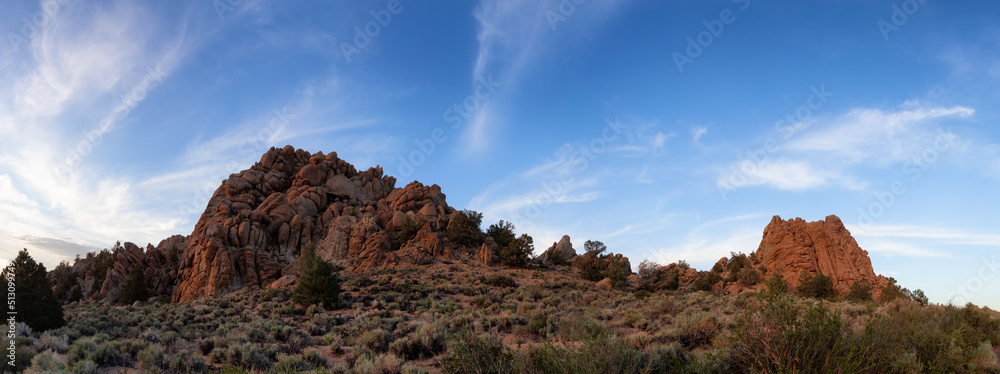 Dry rocky desert mountain landscape with trees. Sunny Sunset Sky. California, United States of America. Nature Background. Panorama
